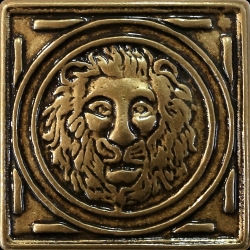 LION 50 Dekor 50x50 mm